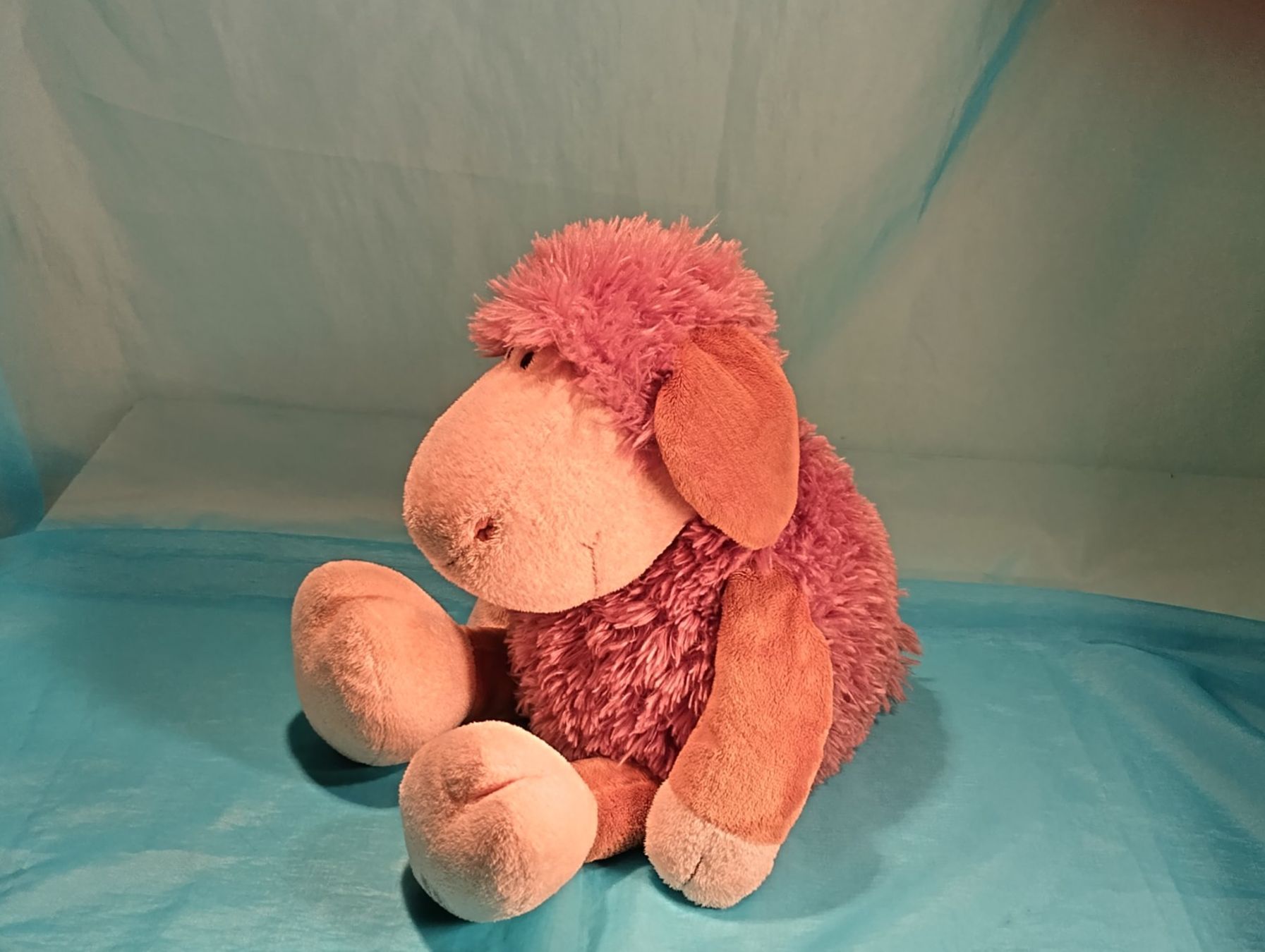 Nici Giocattoli: NICI Schaf, hellbraun, L: 50cm – Usato da Bellach venduto da JingleCherry 3