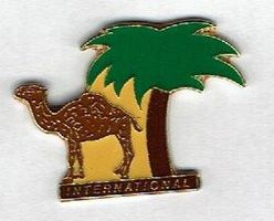 Camel International