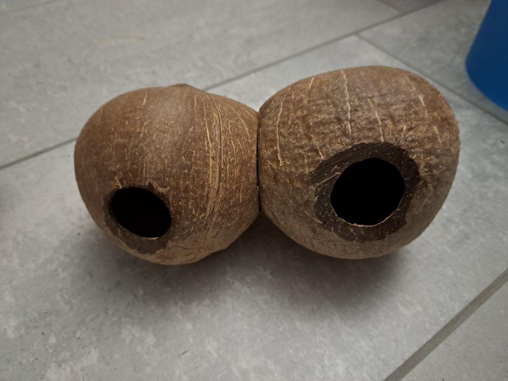 Hamsterrad - Leises Laufrad Für Nager & Kleintiere