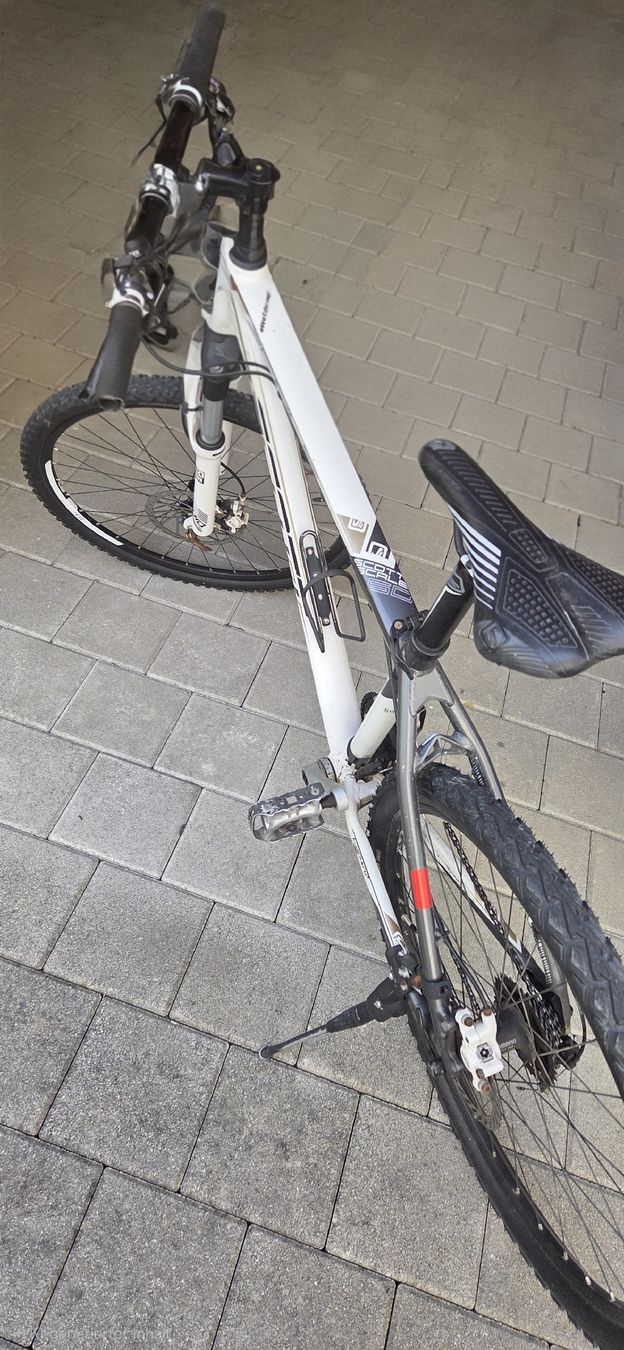 Scott Biciclette: Scott Scale Mountainbike, gebraucht – Usato da Romanshorn venduto da Wiesni81 1