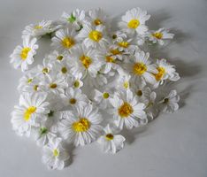 48 dekorative Stoff-Margeriten in Weiss mit gelber Blütenmit