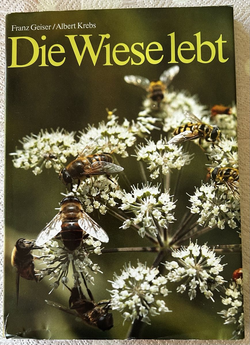 Libri: Die Wiese lebt, Silva-Verlag 1992 – Usato da Lengnau BE venduto da AgriOttu