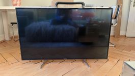 Panasonic TX-49DX600E 49" 4K UHD TV – voll funktionsfähig