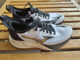 Mizuno Neo Zen II Grösse 43