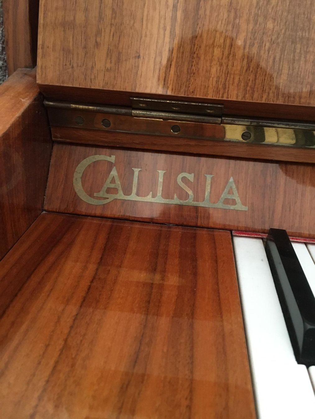 Strumenti musicali: Klavier Calisia – Usato da Günsberg venduto da Michelclan 5