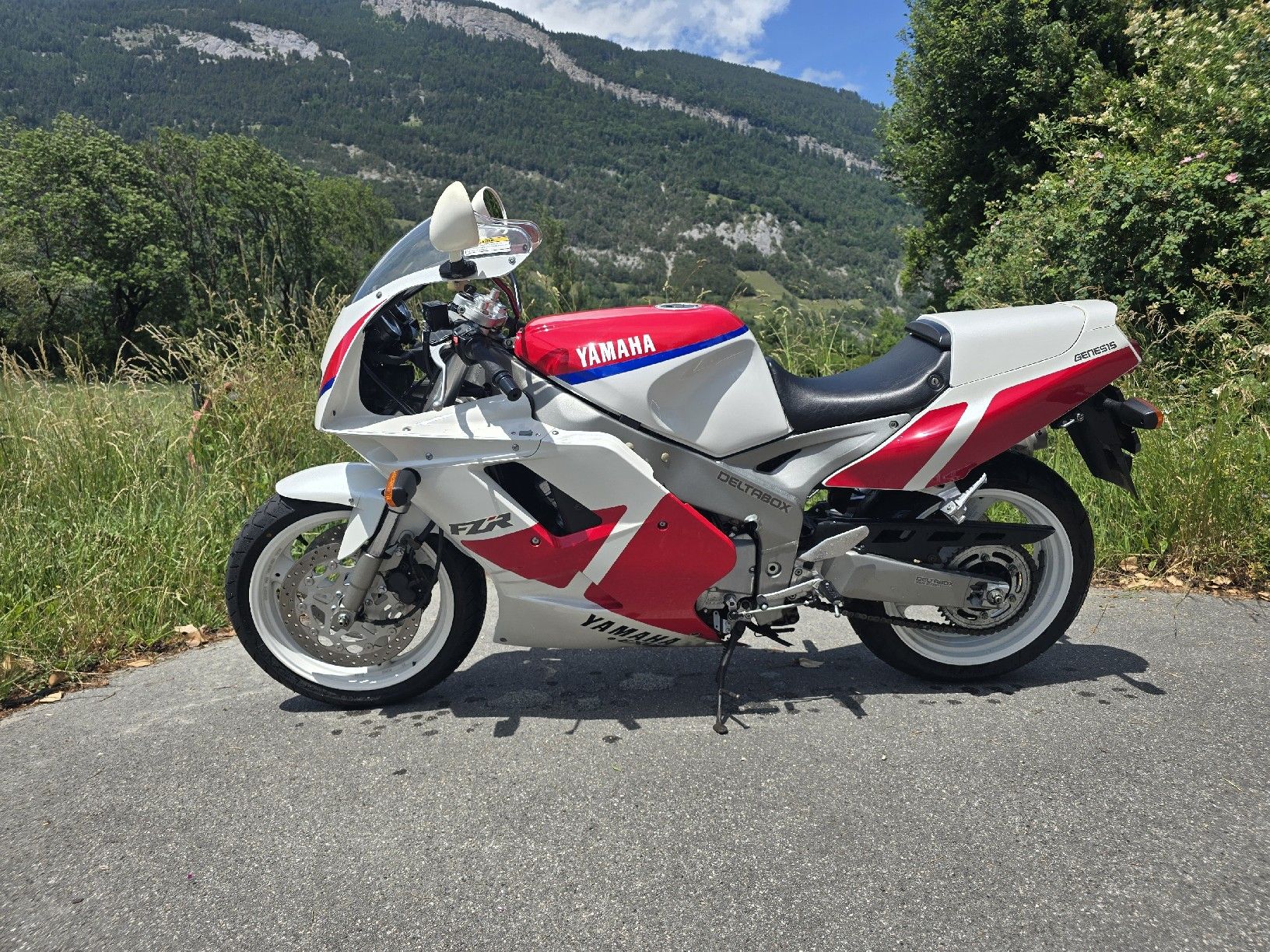 Yamaha Strada: YAMAHA FZR 1000 Ex up – Usato da Chur venduto da Etvanessa