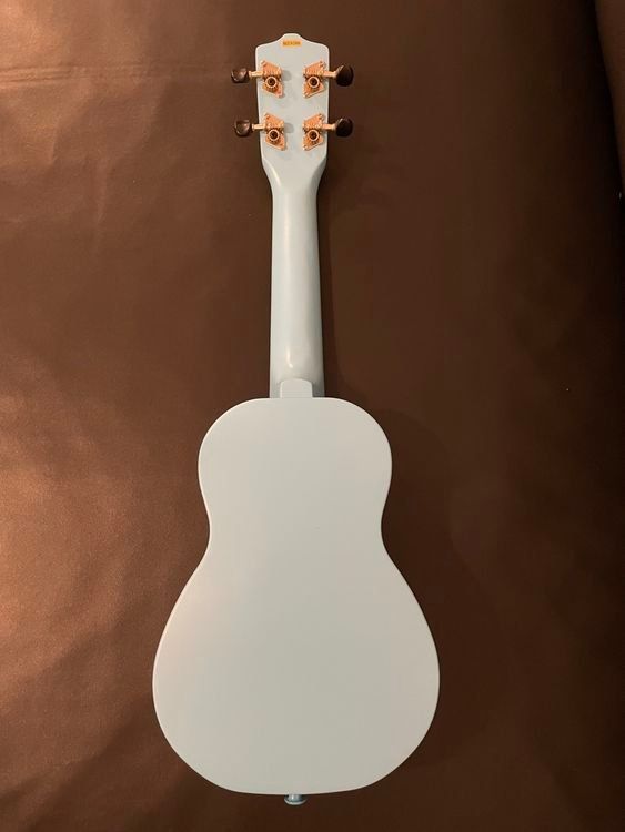Strumenti musicali: blaue Ukulele mit Tasche – Usato da Nürensdorf venduto da Nat_1919 2