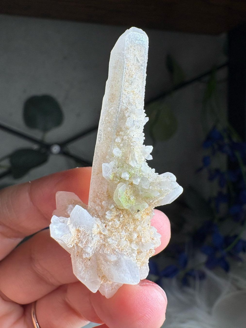 Minerali & Pietre curative: Kolumbianischer Lemurian-Quarz-Cluster – Nuovo (secondo la descrizione) da Neuheim venduto da m.hald 2