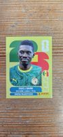 Fifa World Cup Panini SEN 16