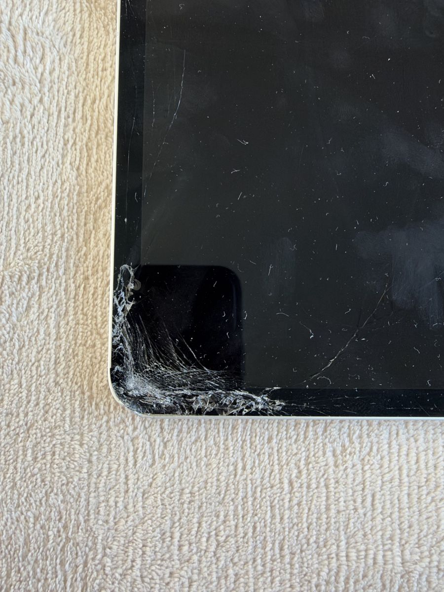 Apple Tablet PC: iPad Pro (12.9 inch) 5th Generation – Gebraucht aus Appenzell Meister. von marzbar8 5