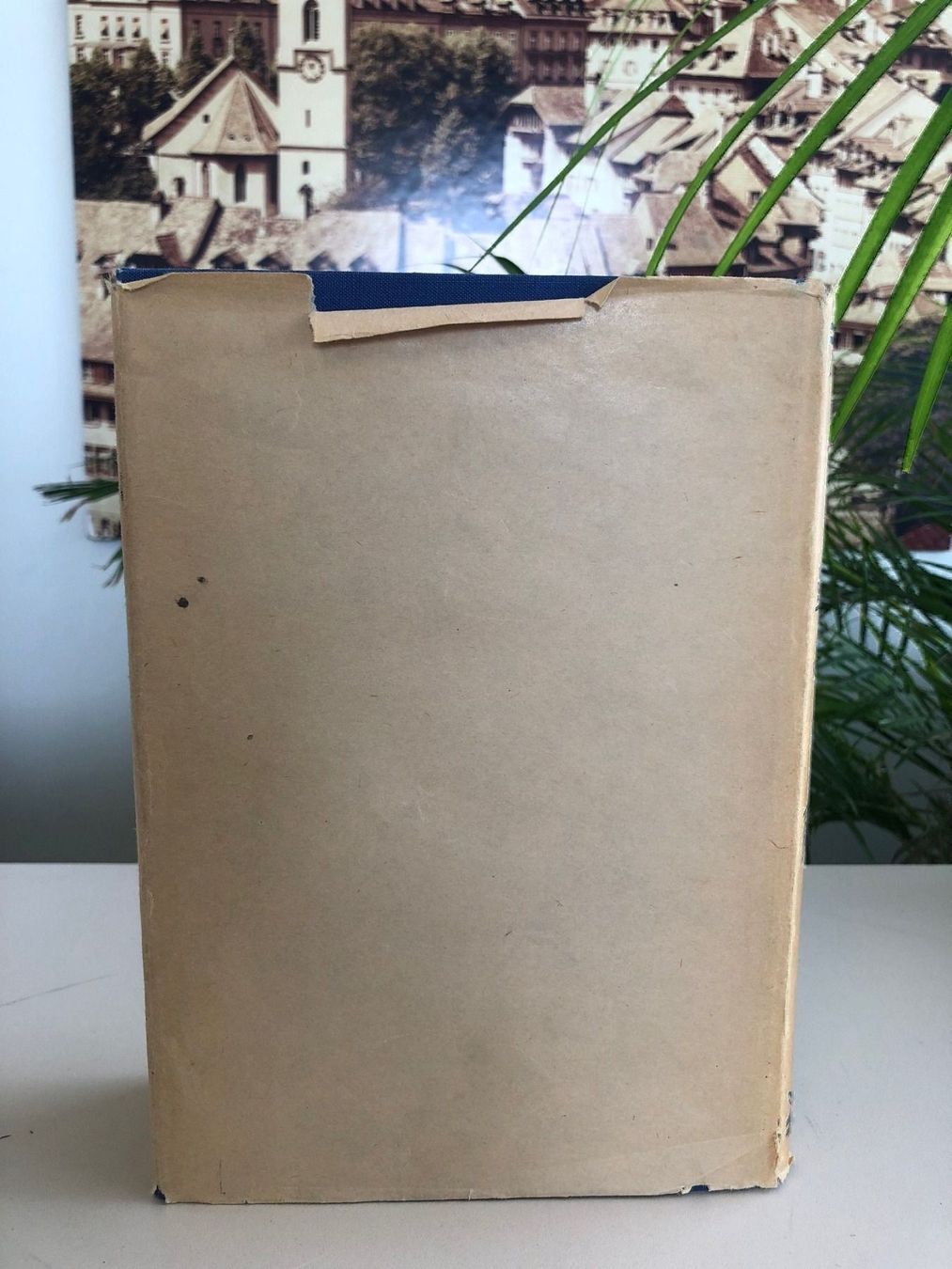 Libri: Schweizerfrau als Mutter und Erzieherin! – Usato da Brügg BE venduto da rutschimedizin 5