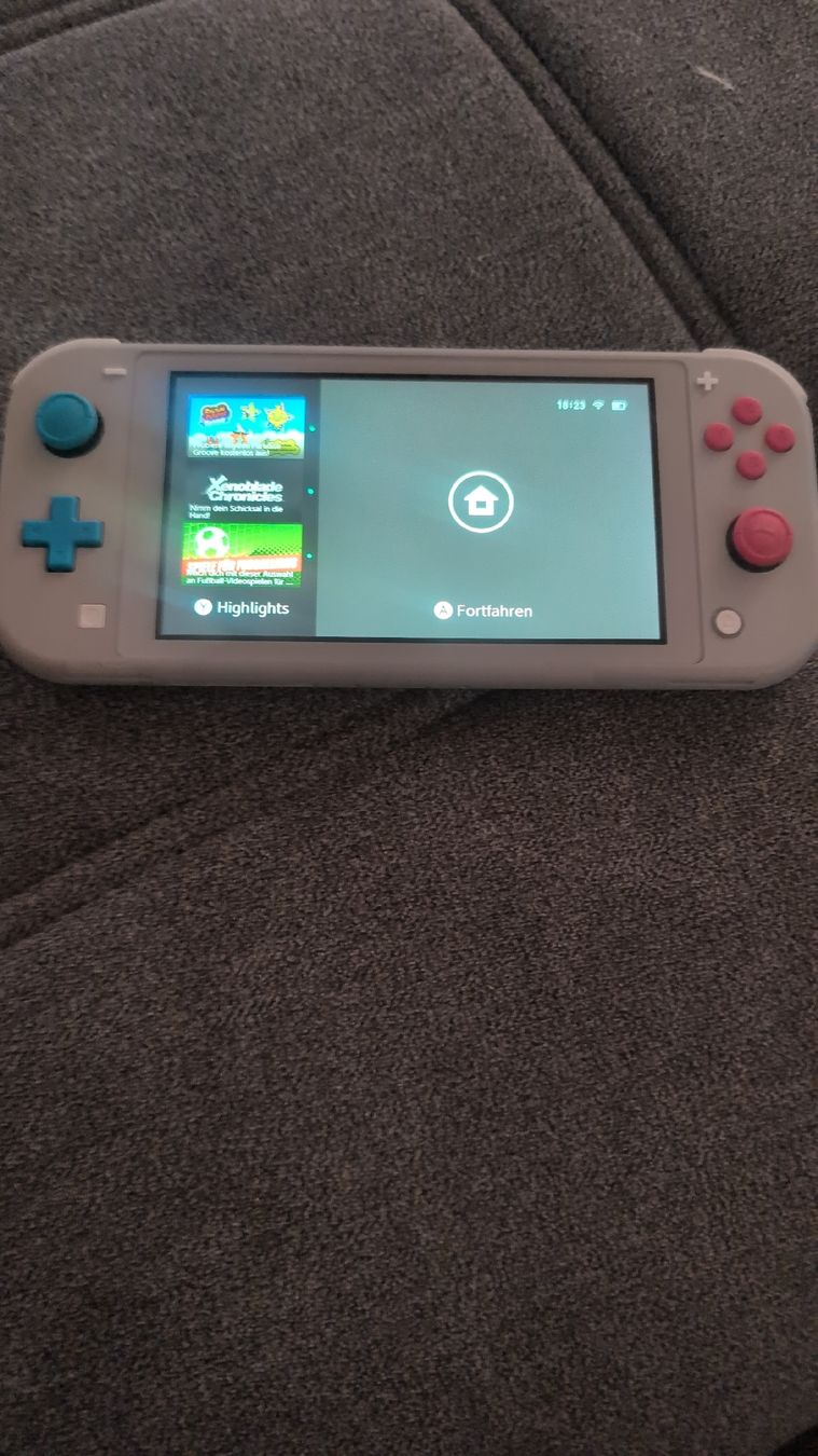 Nintendo Console: Nintendo Switch Lite Zacian & Zamazenta Edition – Nuovo (secondo la descrizione) da St.gallen venduto da yan_lrg5 2