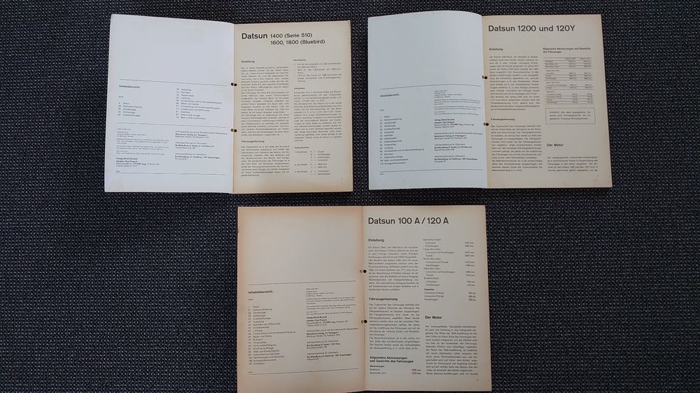 Libri: Buchelikonvolut Reparaturanleitungen Datsun – Usato da Tägerschen venduto da Triba01 2
