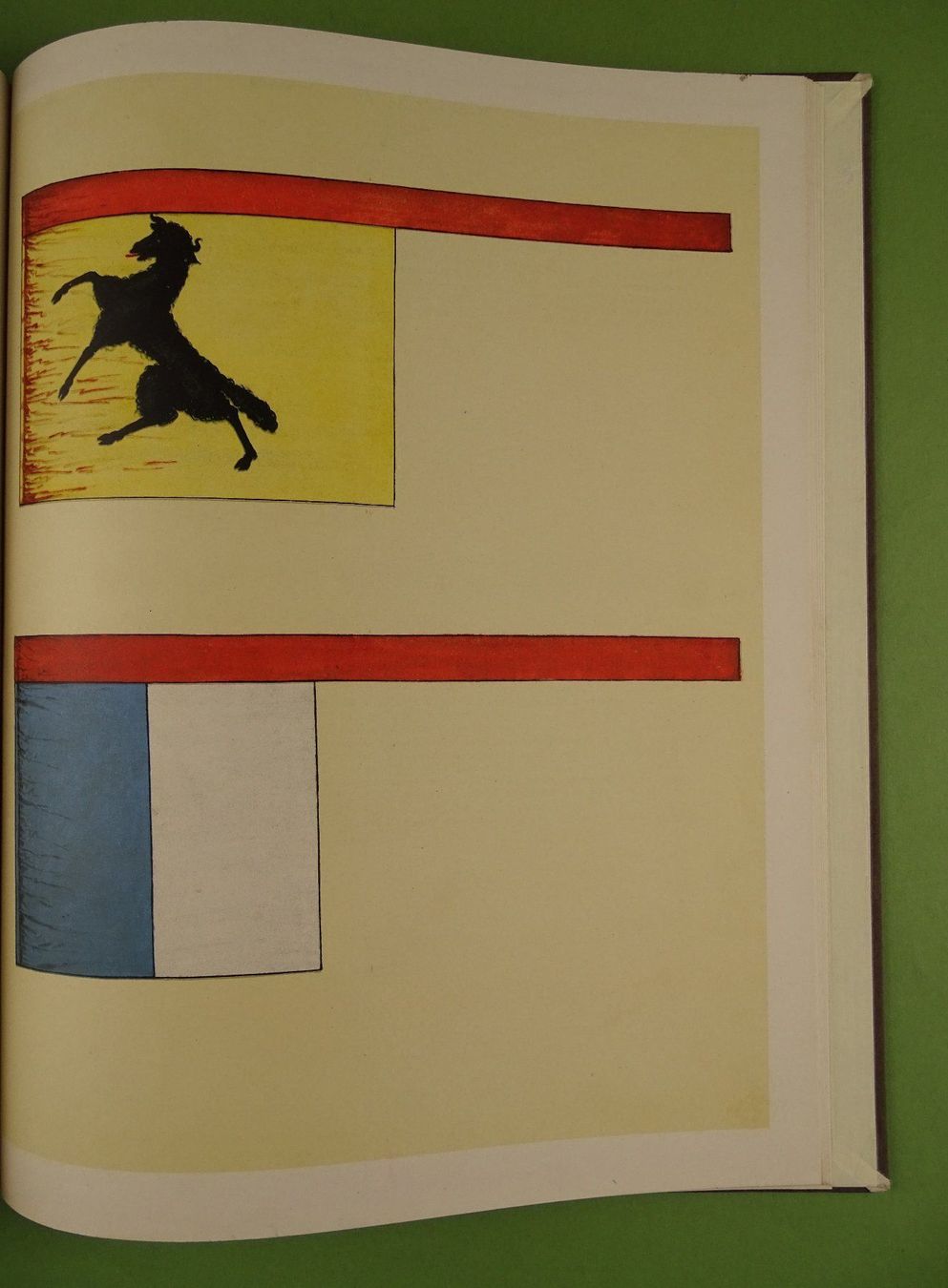 Libri: GLARNER FAHNENBUCH, 1928 GLARUS – Usato da Grüningen venduto da Kartensammler 5