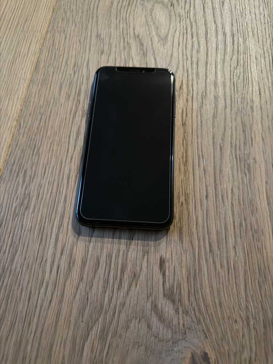 Apple Telefoni cellulari / Smartphones: iPhone XS Space Gray, 256GB – Usato da Herrliberg venduto da TOMA120371