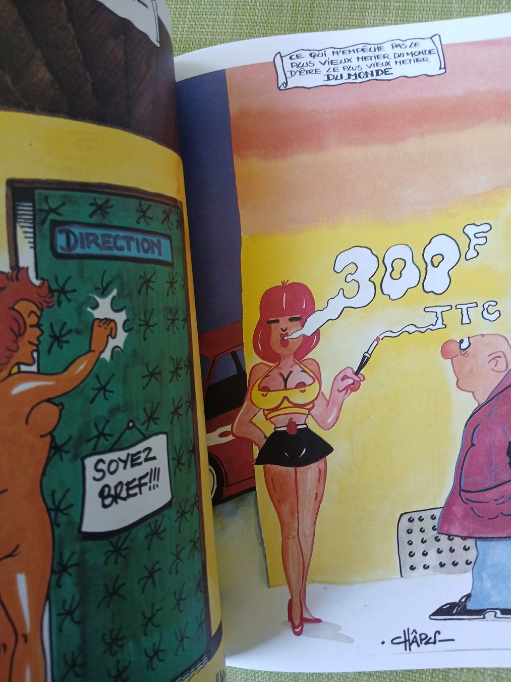 Fumetti: Châpu - C'EST LA VIE !!  (NEUVE) – Nuovo (secondo la descrizione) da Genève venduto da voyageur63 2