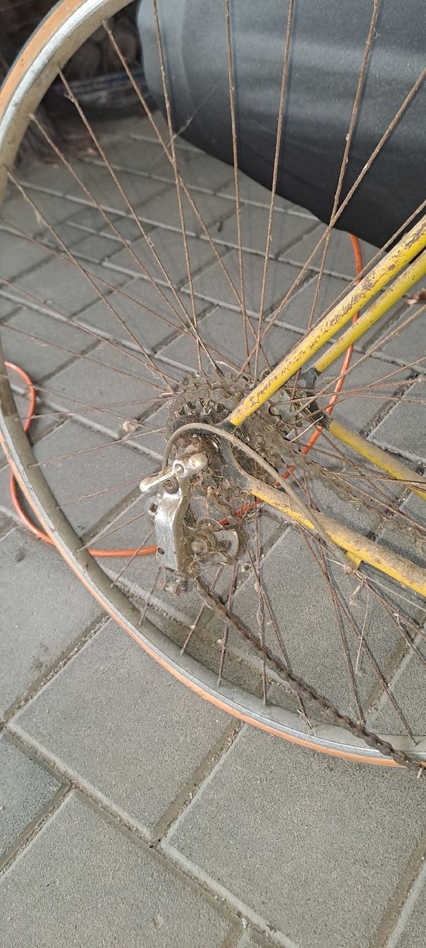 Biciclette: Rennvelo – Difettoso da Gelterfingen venduto da morice06 1