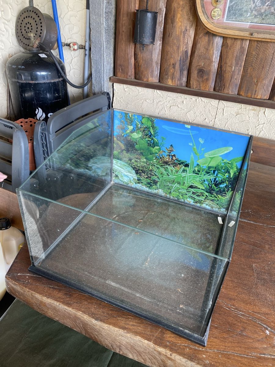 Acquari: Acquario 45x45x30 – Usato da Rivera venduto da Dpe_rpb7