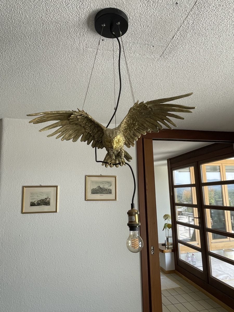 Lustres & lampes de plafonds: Hängeleuchte Eule goldfarben Skulptur Lampe gebraucht – D'occasion à Umiken par bemasajo 1