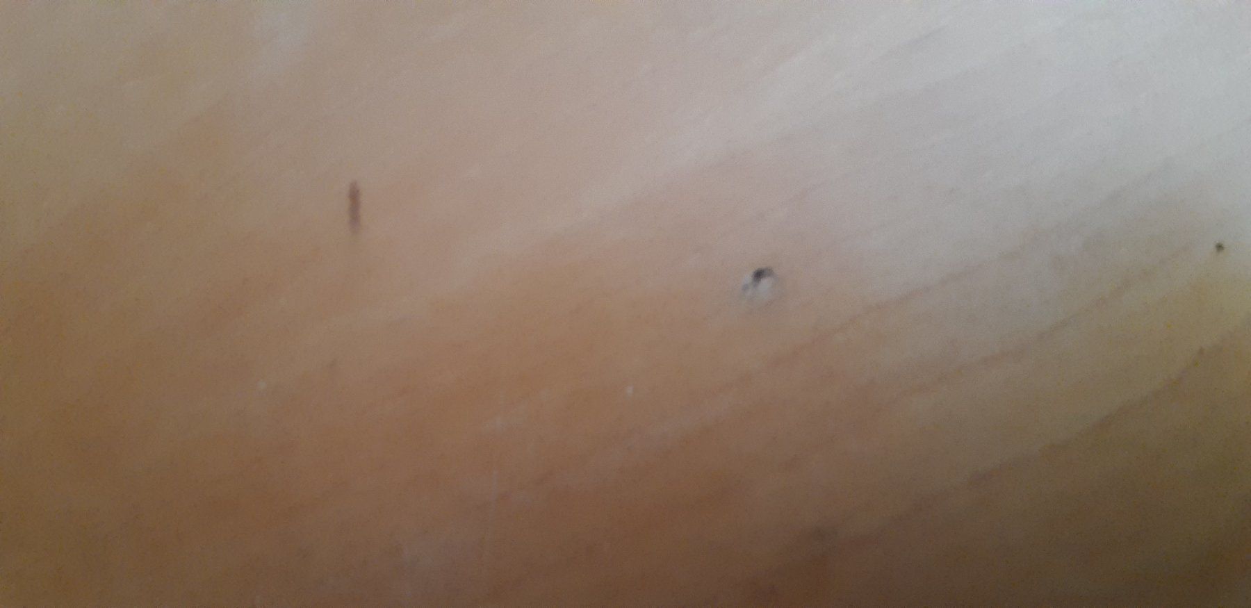 Alias Tische: Tisch von Alias "X-Table" – Gebraucht aus Feldbrunnen von Leoville1 3