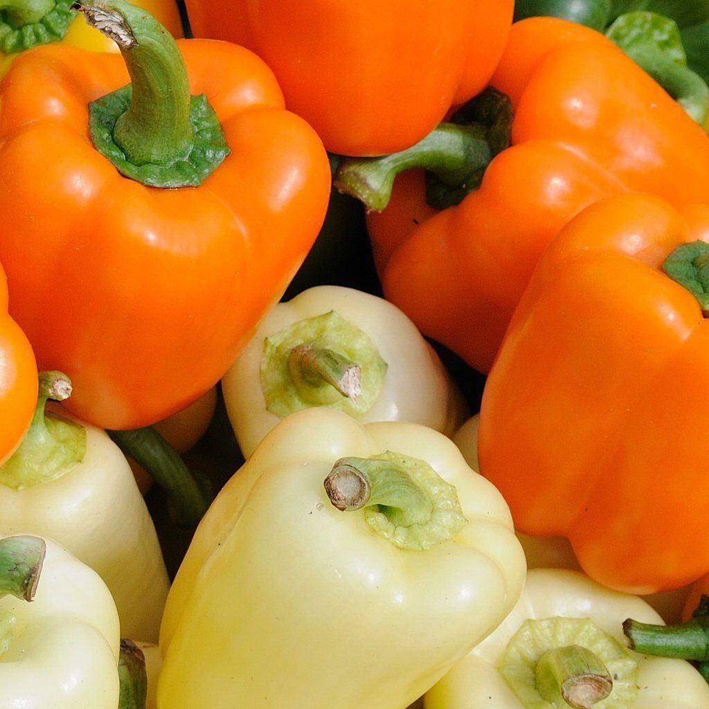Piante & sementi: 30 Samen Paprika REWIA Orange – Nuovo (secondo la descrizione) da Ehrendingen venduto da VerveinaSamen 6