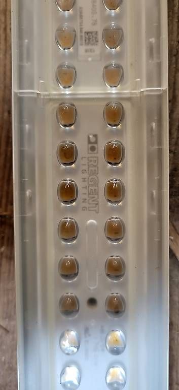 Regent Lampadari & plafoniere: REGENT lighting Philips LED – Usato da Jakobsbad venduto da WEGO_9245