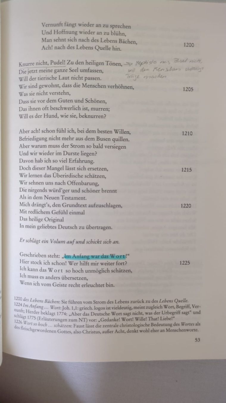 Libri: Faust 1, Johann Wolfgang Goethe – Usato da Hochwald venduto da A3N. 1