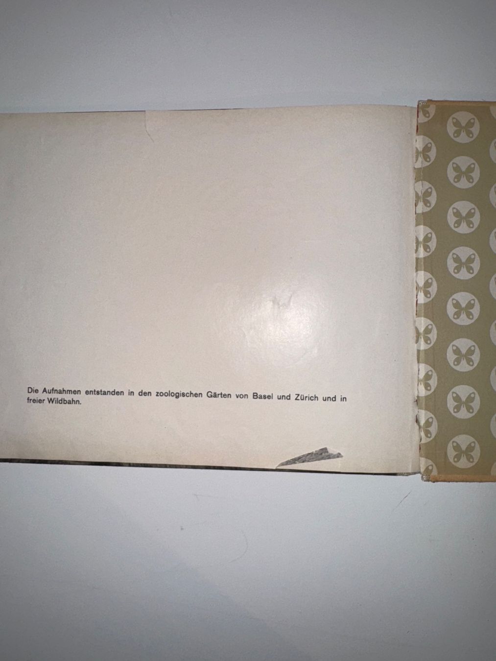Libri: Buch: ABC mit Tieren – Usato da Grosswangen venduto da Second_hand_paradise 4