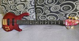 Neuser Courage 5 Bass