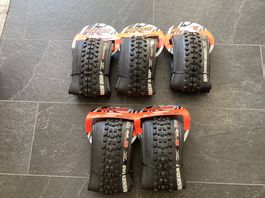 Maxxis Assegai und DHF Double Down 29x2.5 Reifen