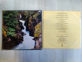Disque vinyle Cat Stevens Back to Earth G - VG+