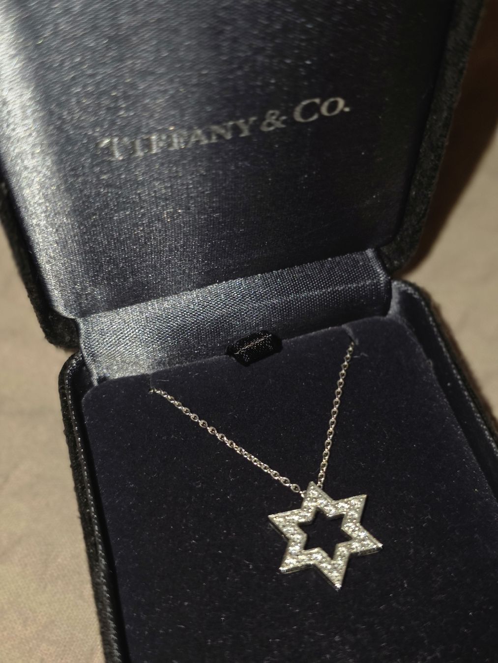 Tiffany & Co. Catenine: Tiffany&co Platin Kette – Usato da Aesch BL venduto da Puga 2