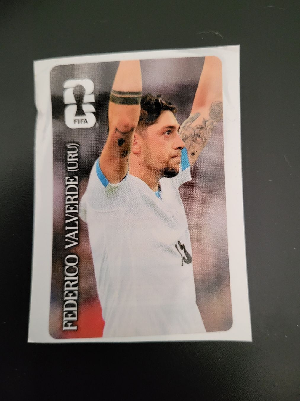 Panini Sammelbilder & Trading cards: Federico Valverde (URU) – Neu (gemäss Beschreibung) aus Therwil von Hexe13