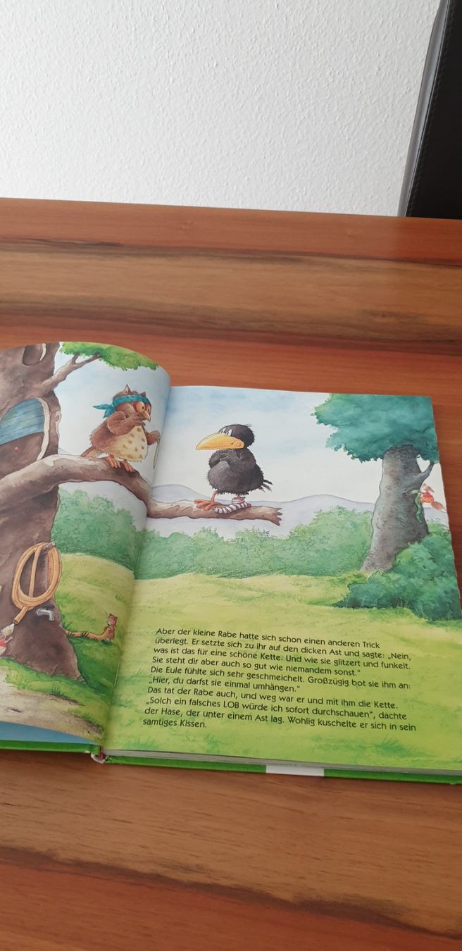 Libri: DAS GROSSE BUCH vom kleine Raben Socken – Usato da Steinhausen venduto da pinu09 2