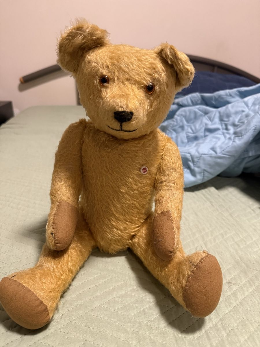 Steiff Bambole: antiken Bären Mohair Petz – Usato da Wattwil venduto da amm_rw6l 7