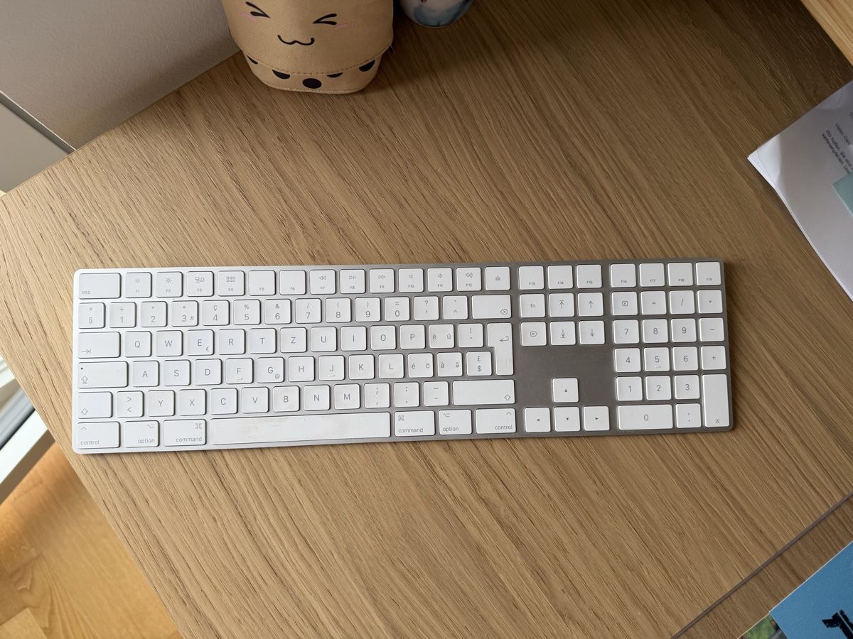 Apple Claviers: Apple Magic Keyboard CH Lightning silbern – D'occasion à Bern par adi_co