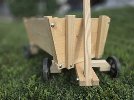 Bollerwagen / Handwagen für Kinder aus Holz von Pastorini