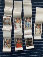 Panini 2026 Coca Cola Sticker zuverkaufen