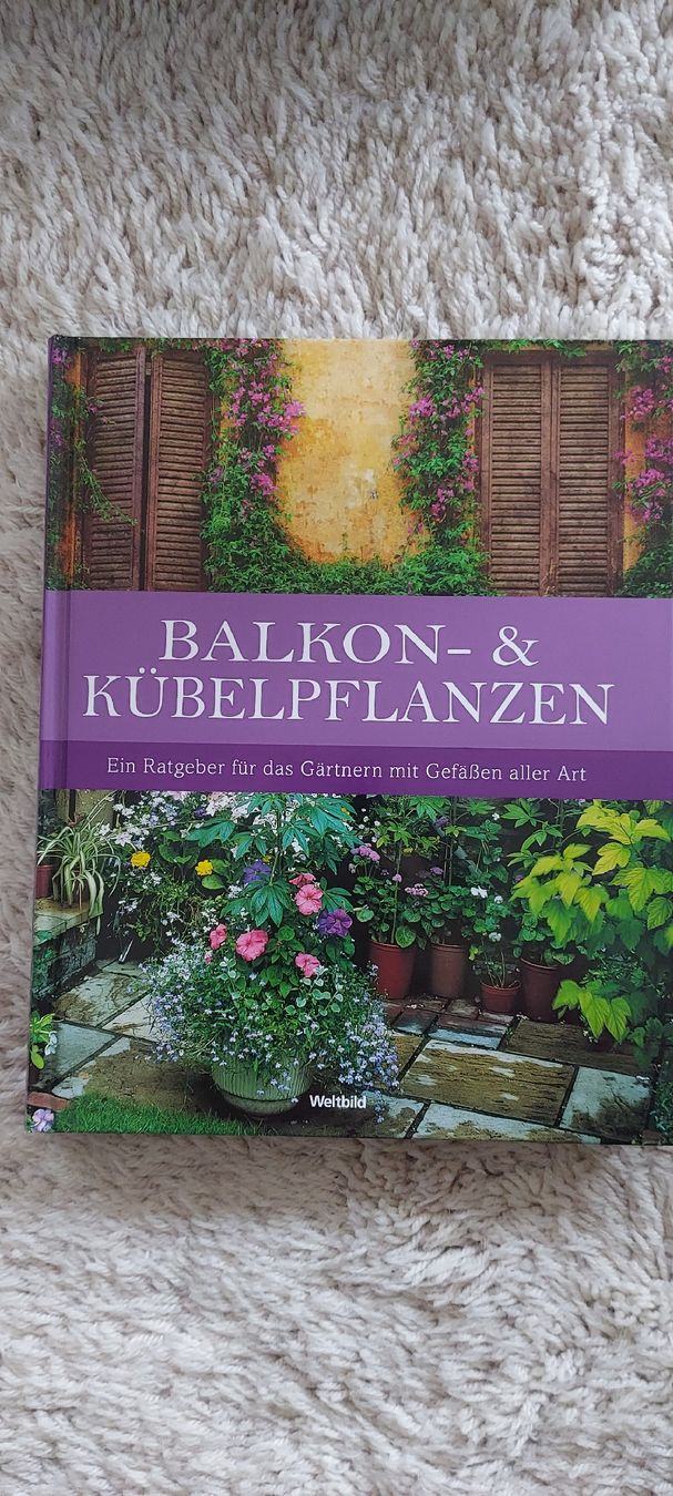 Bücher: Buch - Balkon- und Kübelpflanzen – Neu (gemäss Beschreibung) aus Küssnacht am Rigi von Mukare