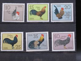 DDR 1979 Gerflügelrassen **