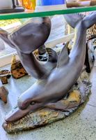 Salontisch mit Delfinfuss