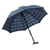 2 in 1 Regenschirm und Gehstock