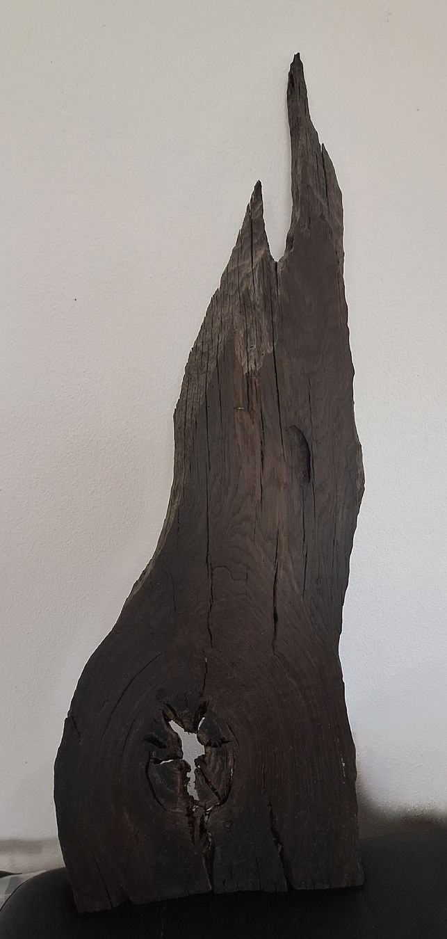Articoli in legno: Mooreiche Seeland – Nuovo (secondo la descrizione) da Mümliswil venduto da Arva