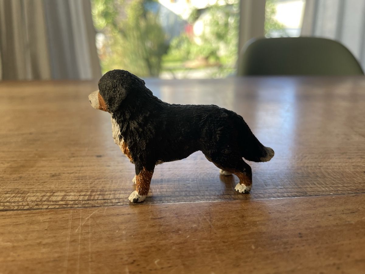 Schleich Statuette: Schleich Bernhardiner Hund – Usato da Bonstetten venduto da soleillle 1