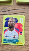 Panini WM 2026 Haiti Louicius Deedson
