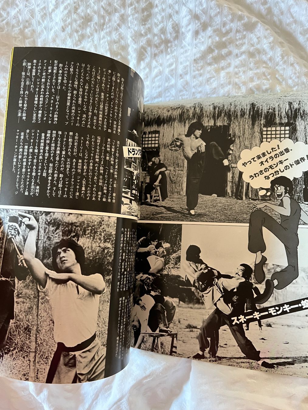 Libri: Jackie Chan, rares Crazy Monkey Booklet, A4-Grösse – Usato da Iragna venduto da Flips03 2