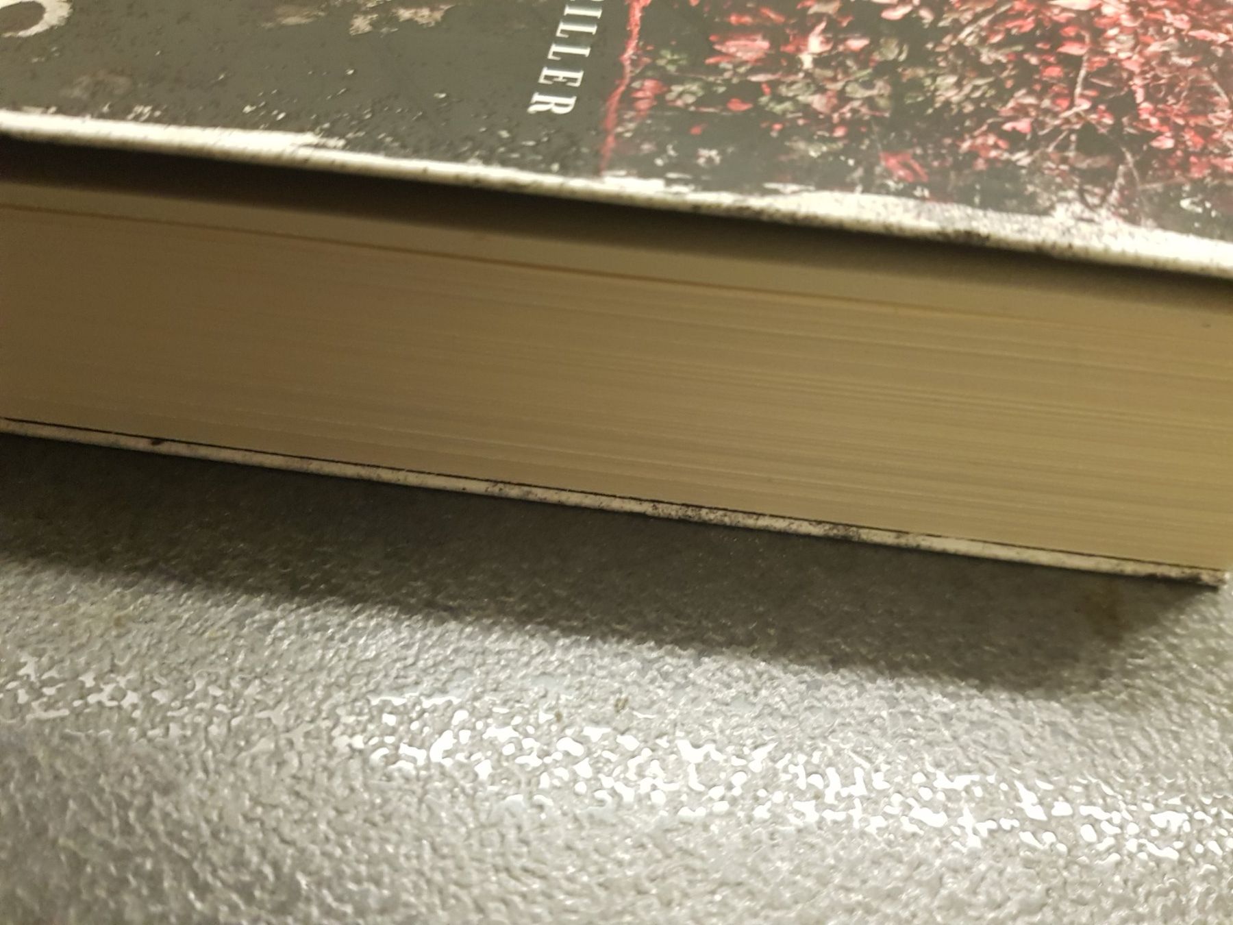Libri: LIEBLINGSKIND / C.J. Tudor / Thriller – Usato da Dietikon venduto da marconi07 2