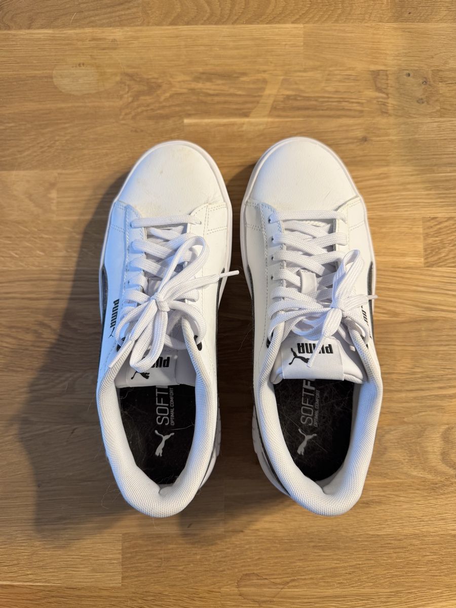 Puma Damenschuhe: Puma Sneaker Gr. 39, NEU – Neu (gemäss Beschreibung) aus St. Gallen von nikolasbong