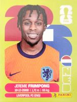 Panini FIFA World Cup NED 8