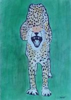 Gepard - Originalzeichnung signiert